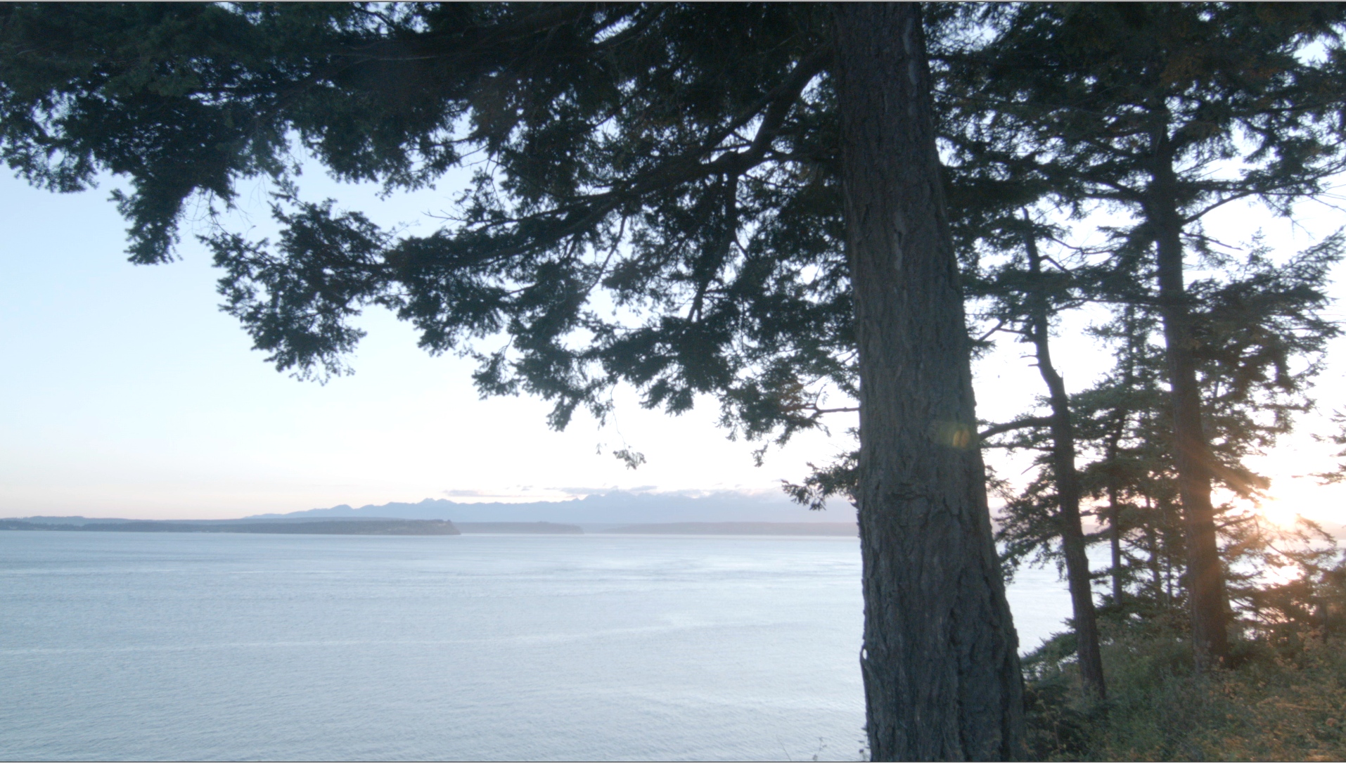 Whidbey screen grab.jpg