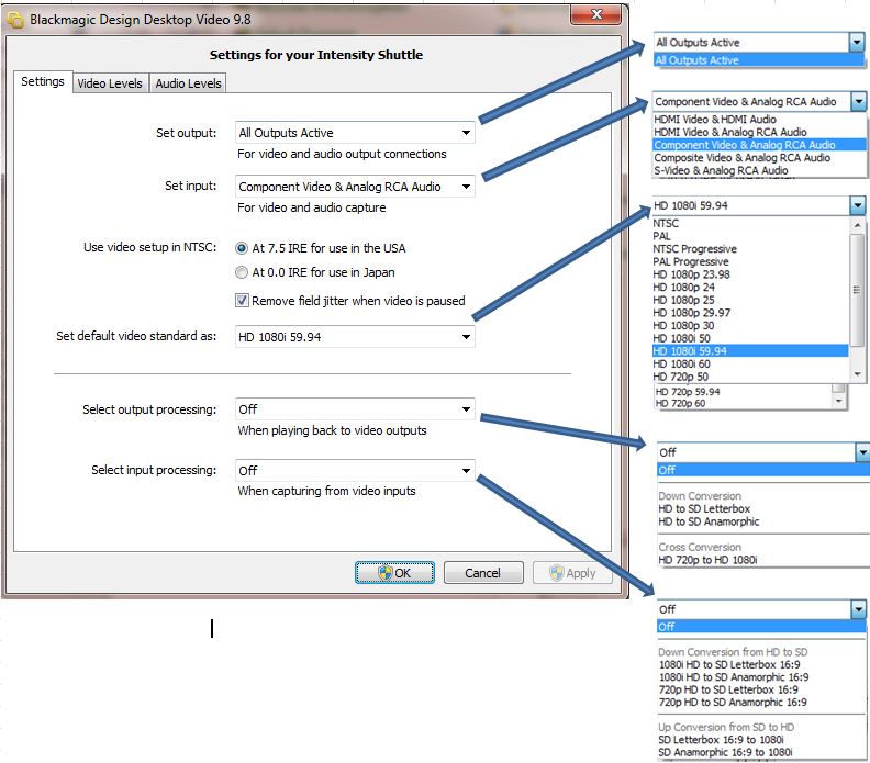 BlackMagic Design Desktop Video 9.8.control panel settings.20131229.JPG