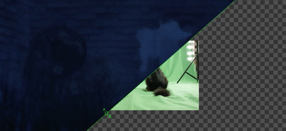 greenscrn1.jpg