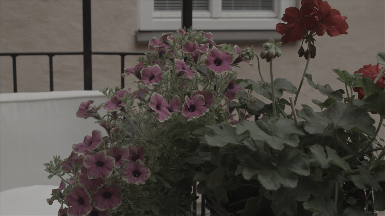 Blackmagic Cinema Camera_1_2013-06-22_1345_C0000_086400.jpg