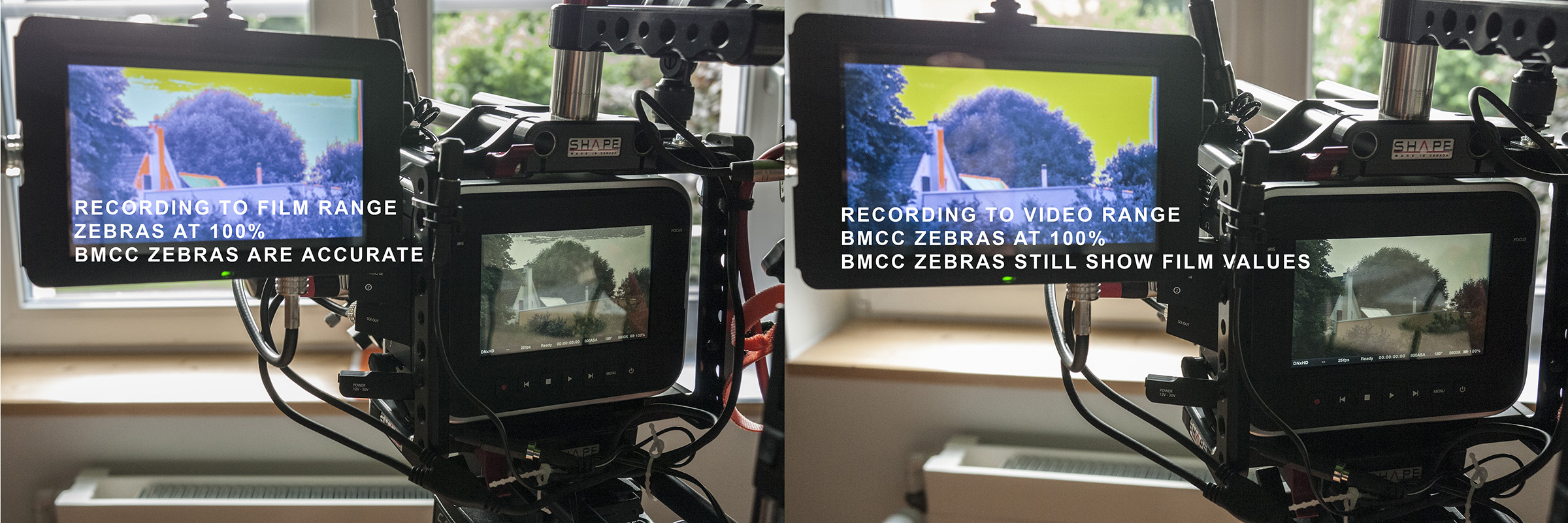 ZEBRA-FILM-VS-VIDEO.jpg