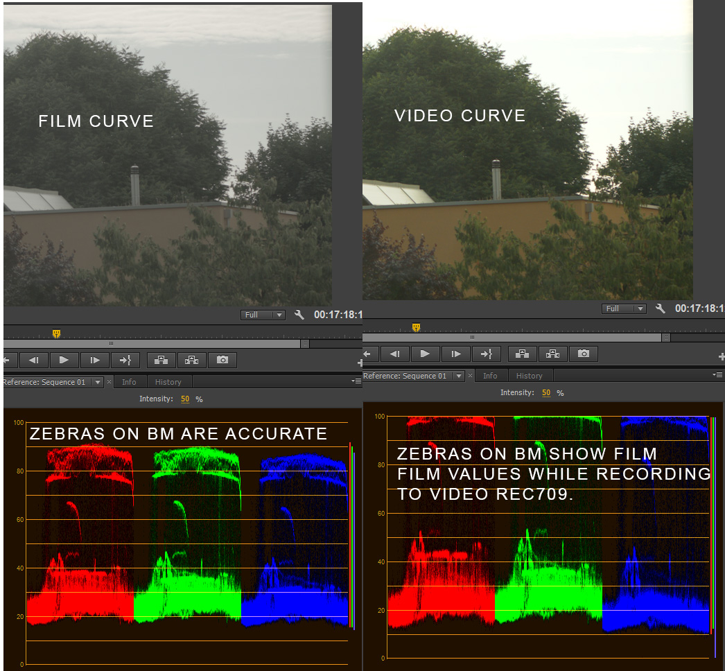PARADE-FILM-VIDEO.jpg