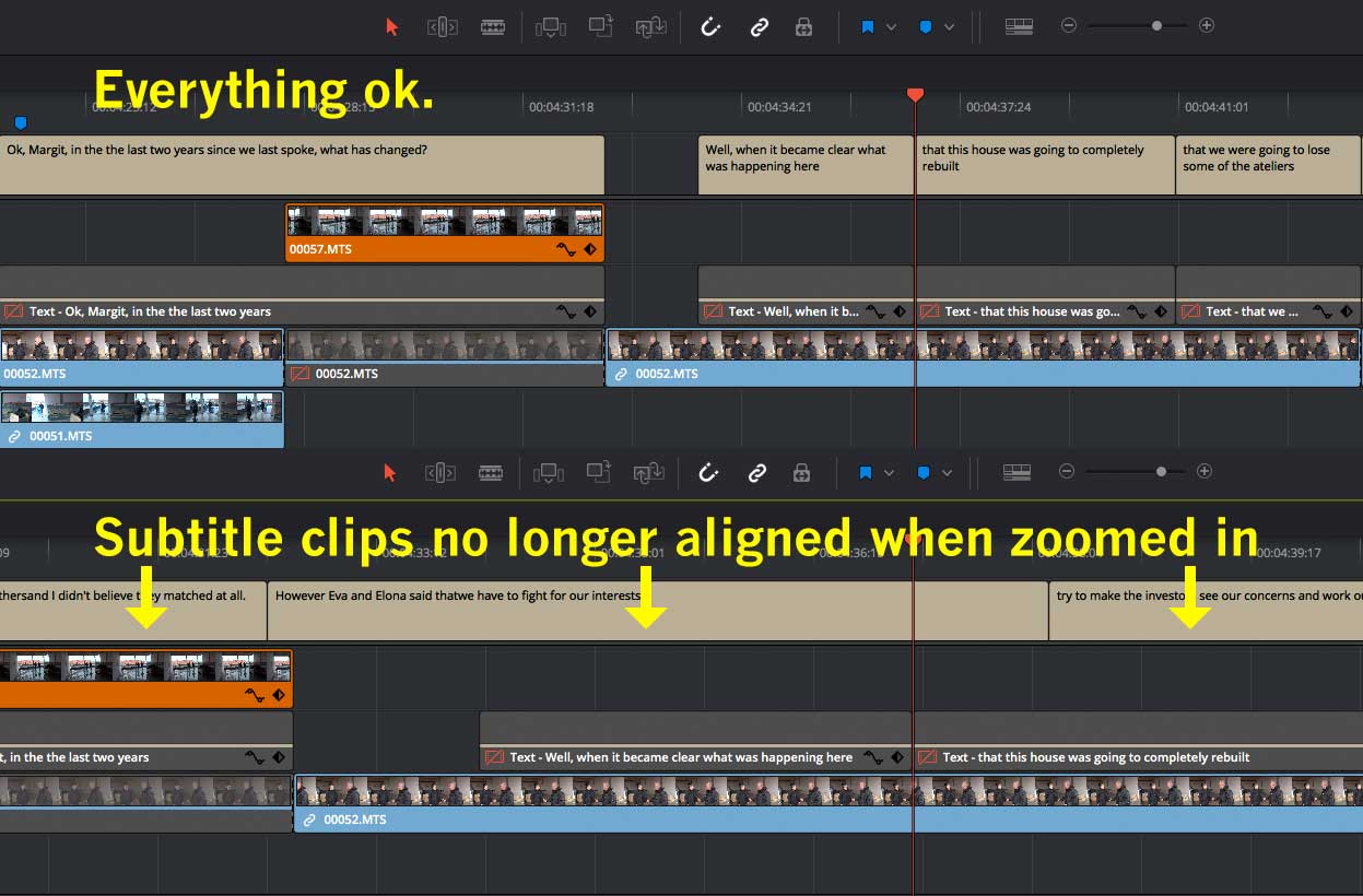 Subtitle-bug.jpg