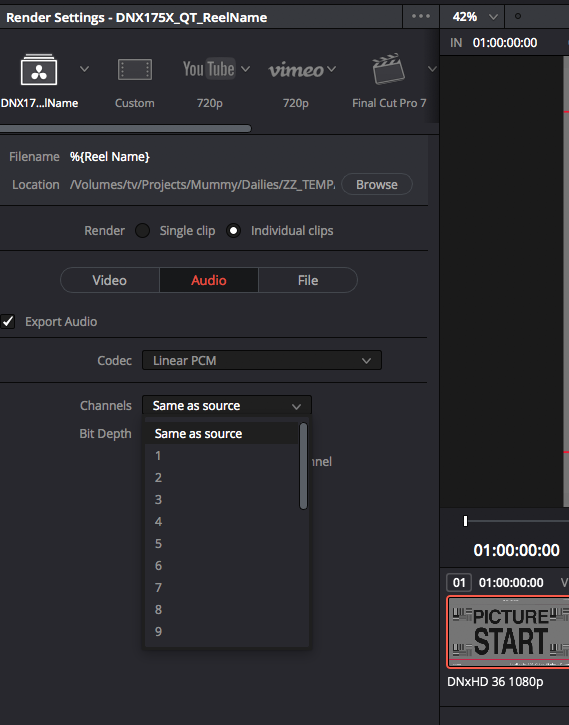 Resolve Audio Export Setup.png