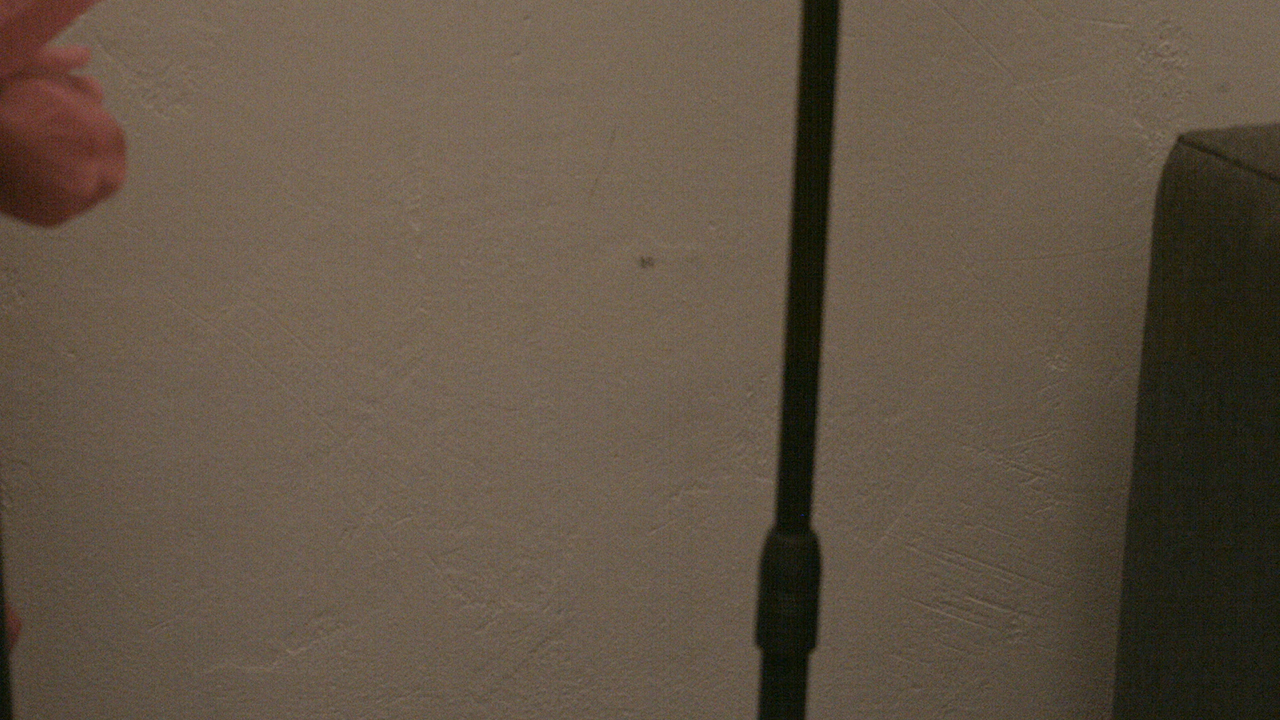 vertical line_1.3.5.jpg