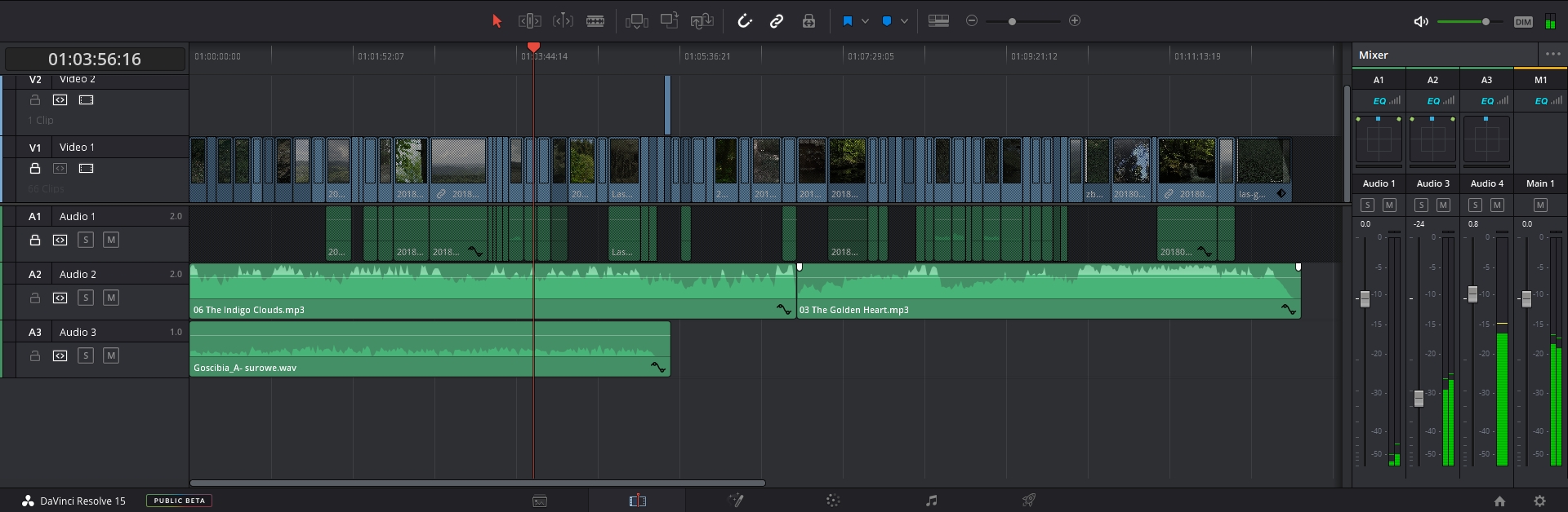 davinci-audio error.jpg