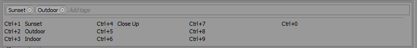 Sony Vegas tags.PNG
