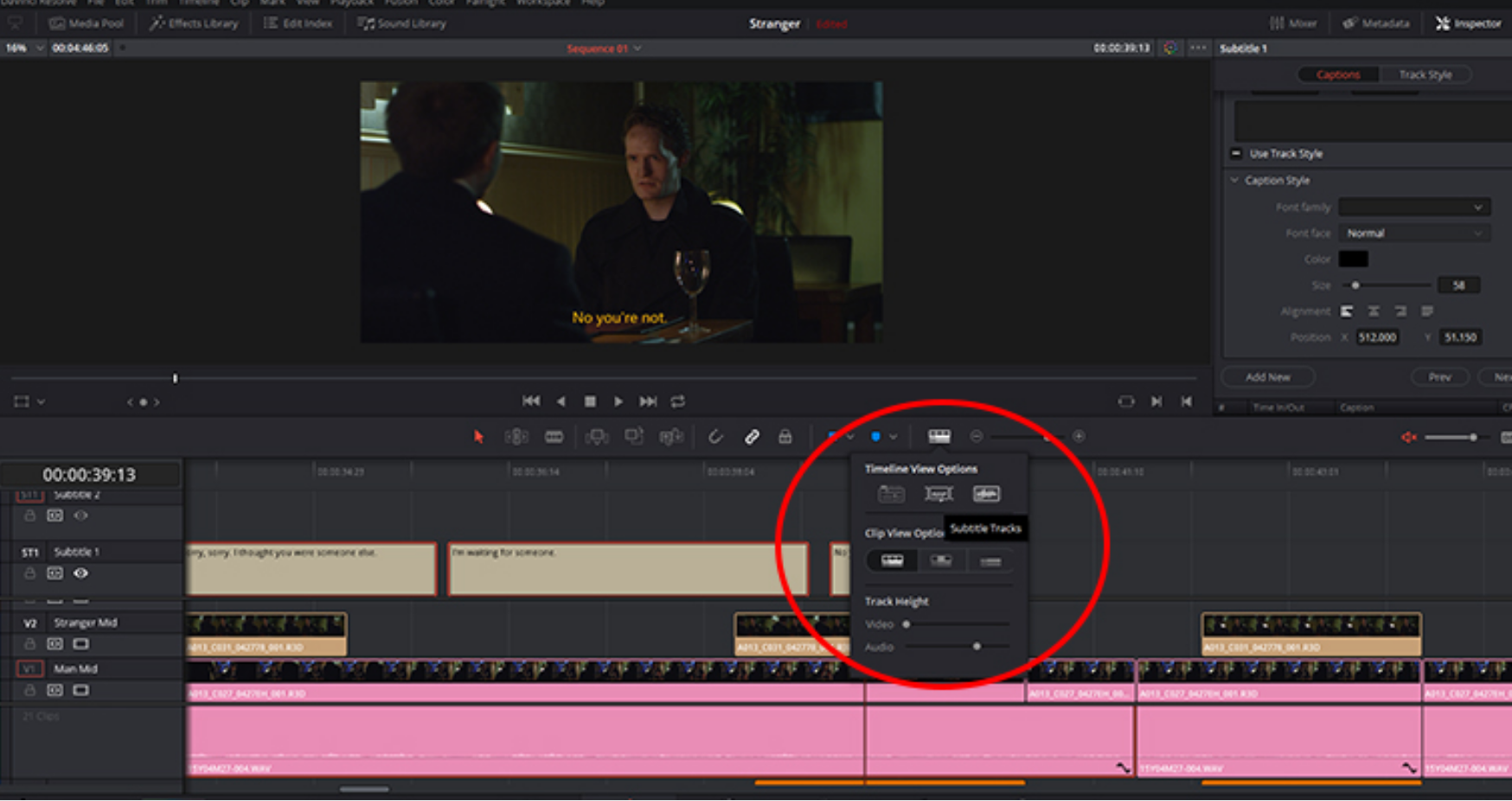 Subtitles2.png