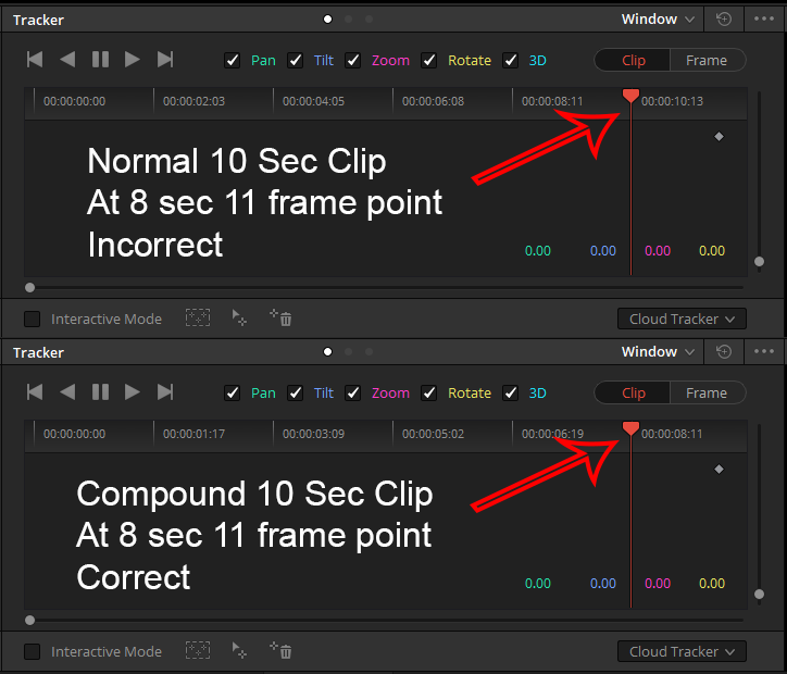 Scale Bug.png