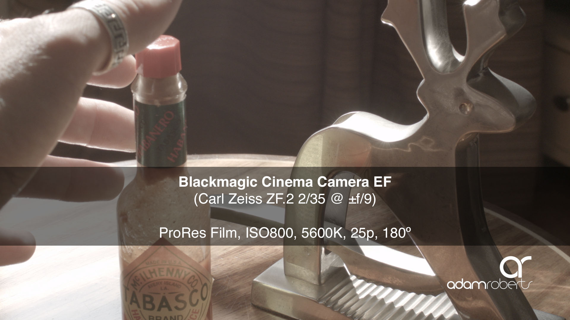 BMCC %22Bloom%22 Test.jpg