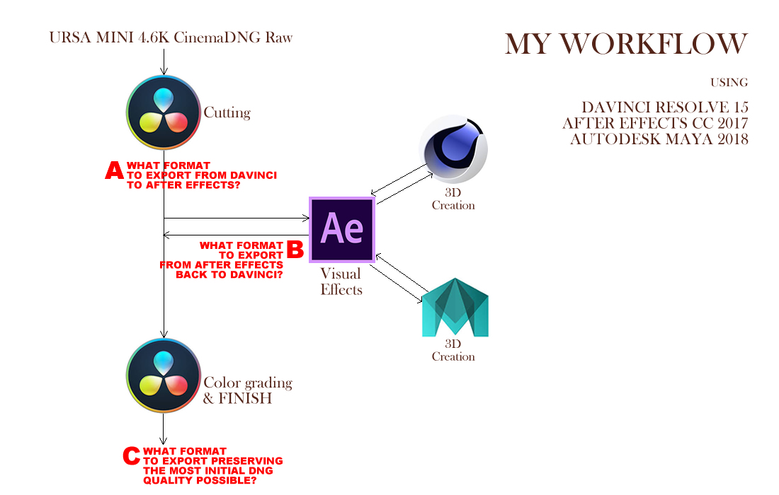 workflow.jpg