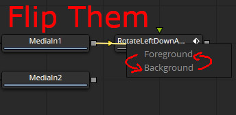 macro.jpeg