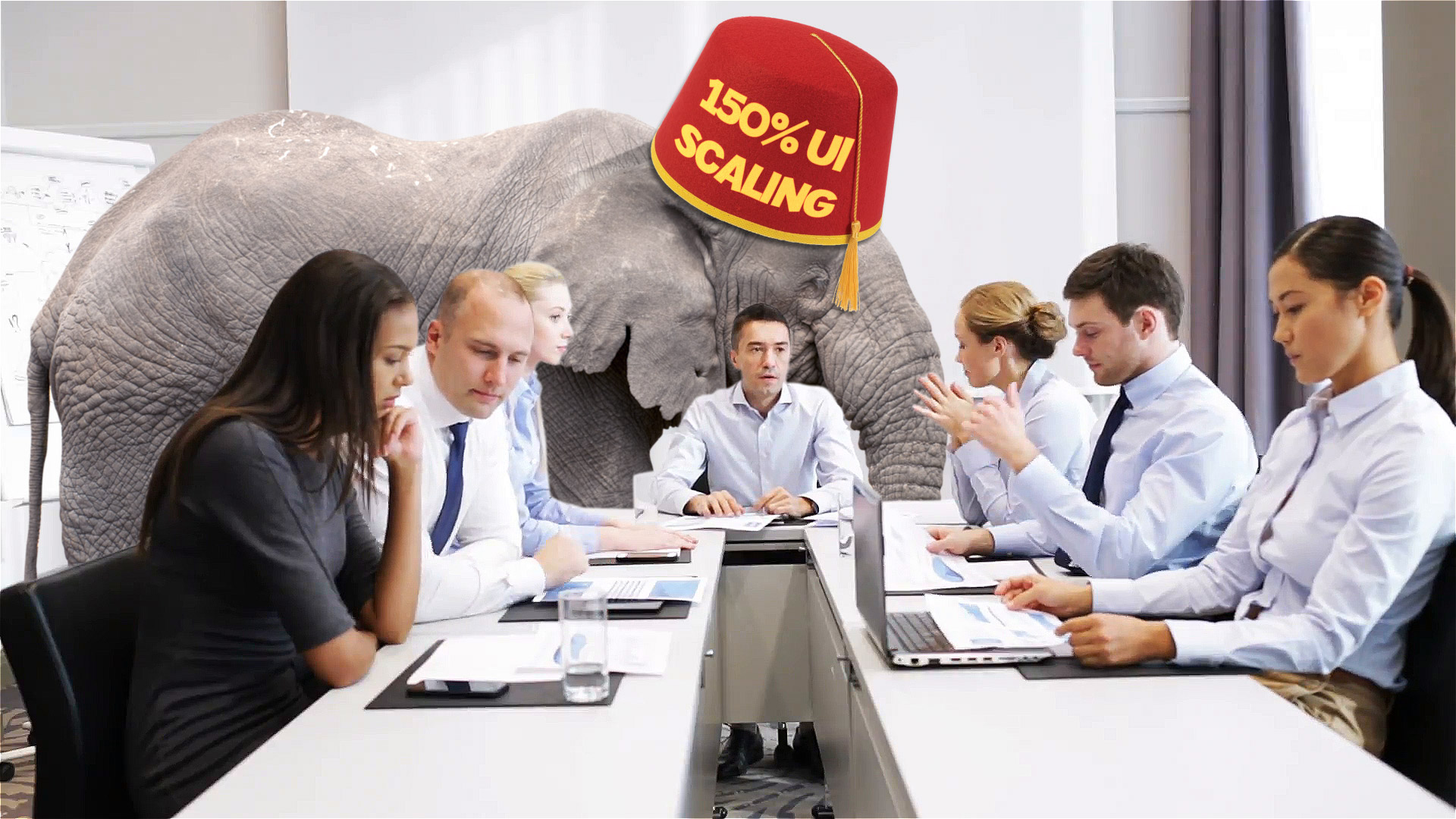 elephant.jpg