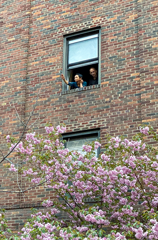 neighbours.jpg