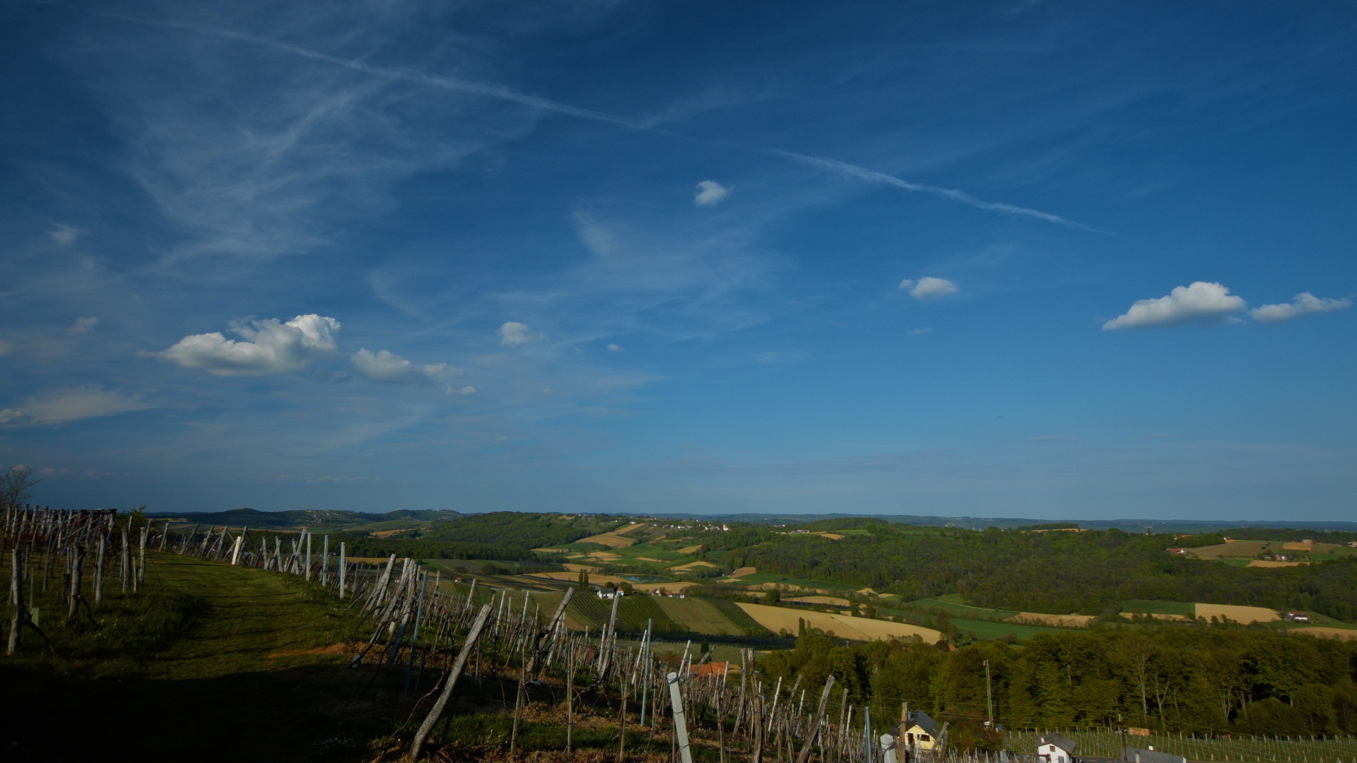 ISO200 EXP 0_1.3.5.jpg