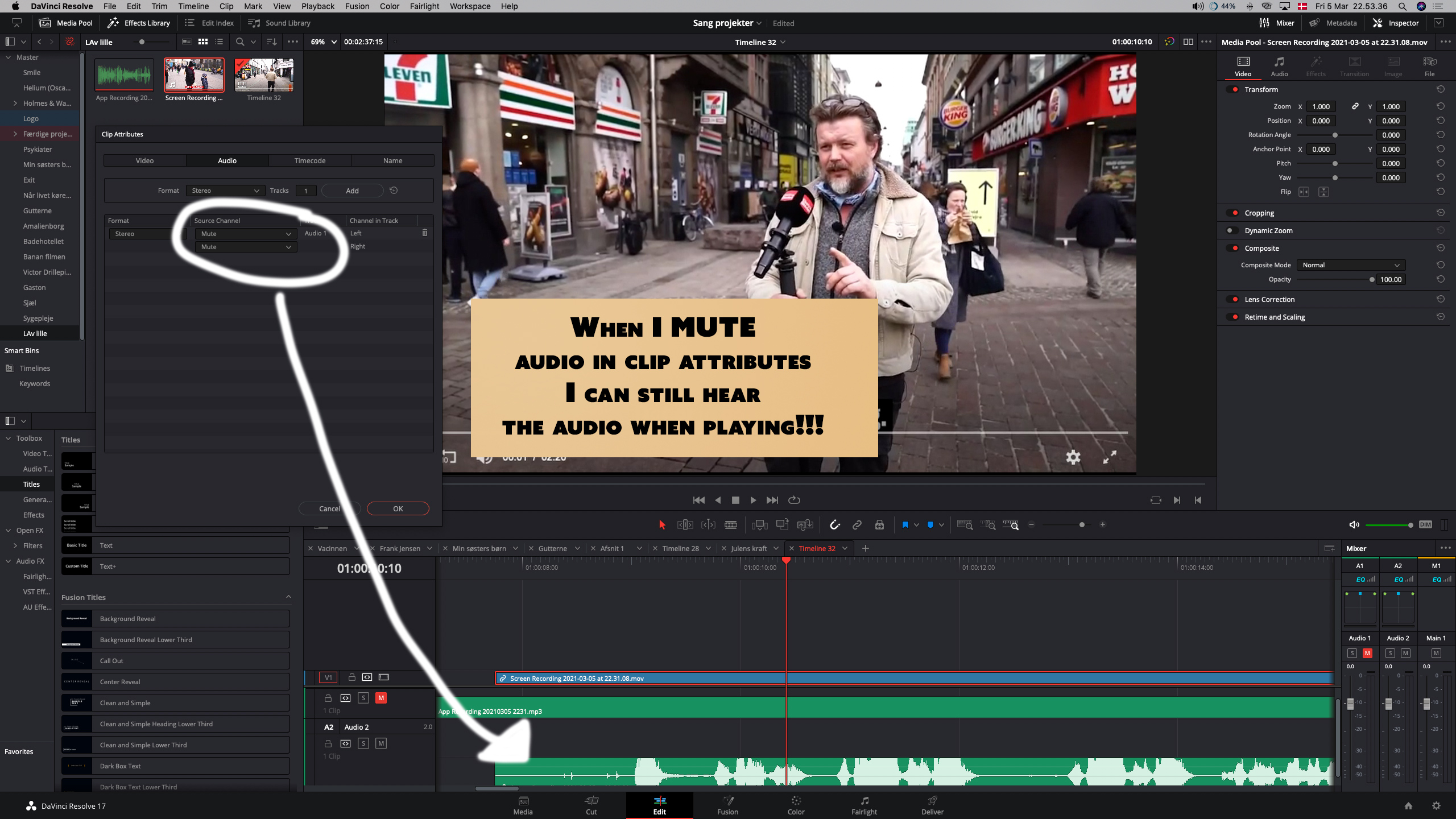 mute audio not working.jpg