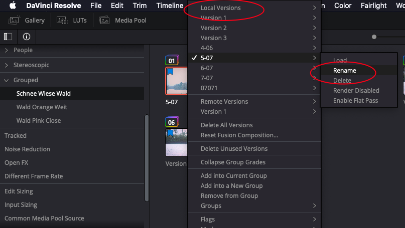 Rename Local Versions.png