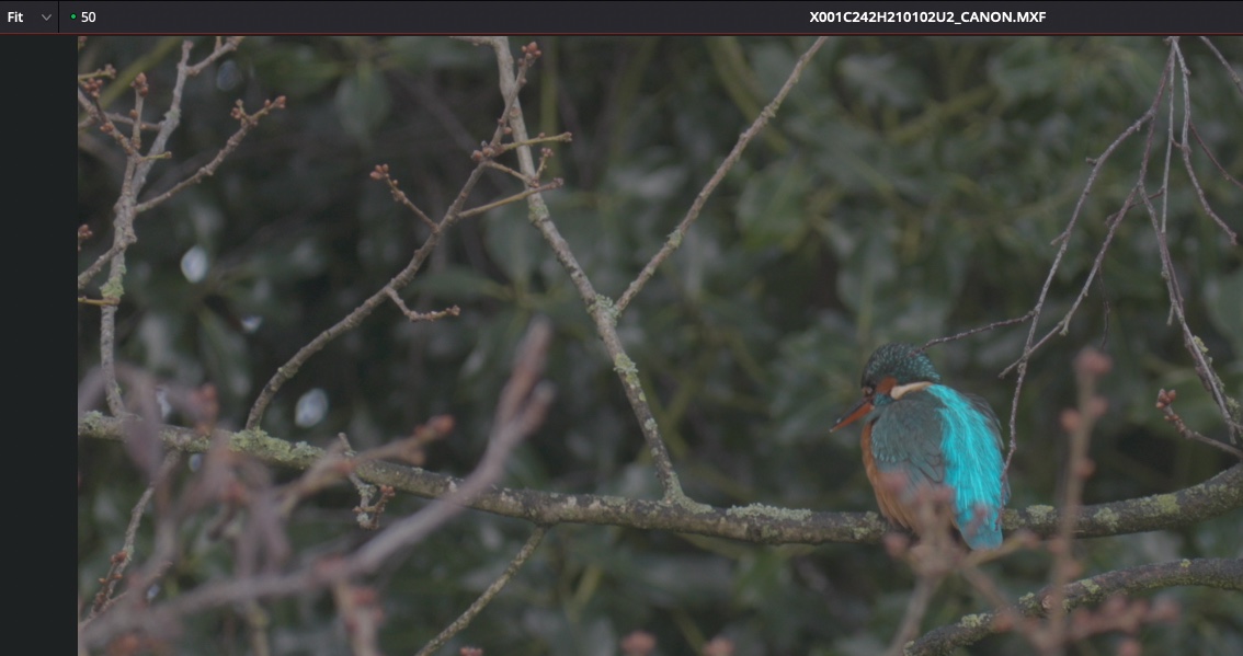 Screenshot 2021-04-23 at 13.49.20.jpg