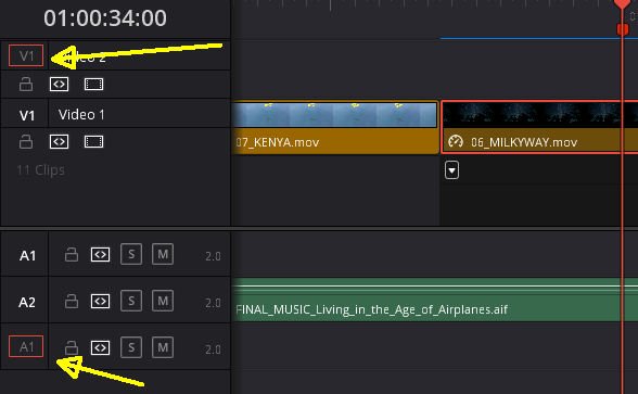 Davinci_StrangeTrackIndicators.png
