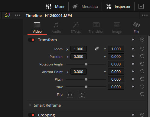 ResolveInspector.jpg