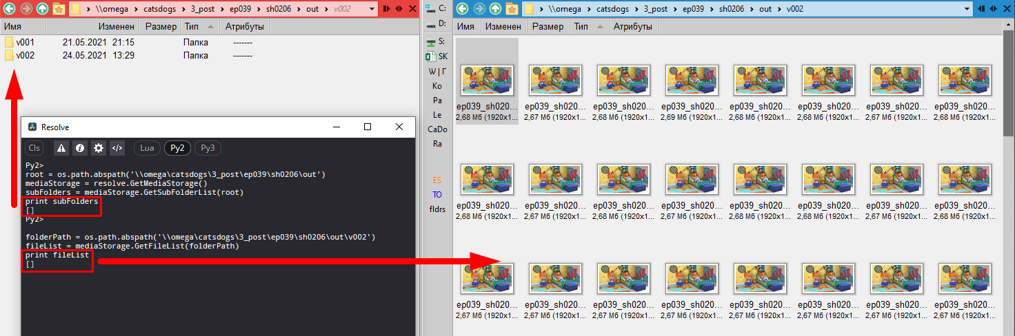 DaVinci MediaStorage.png