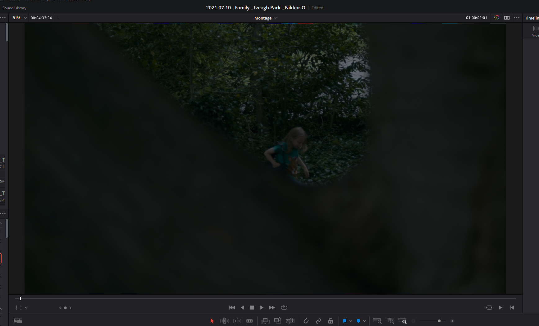 Screenshot 2021-07-12 113851.png