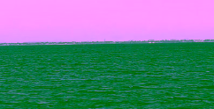 pic 3.PNG