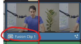 fusionclip.png