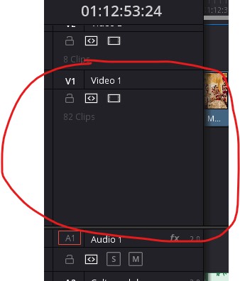 Video track height.jpg