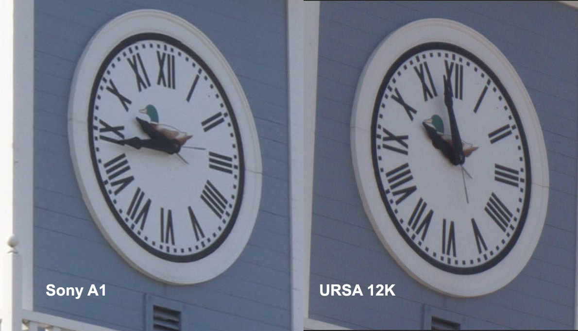 12K-Sony_A1.jpg