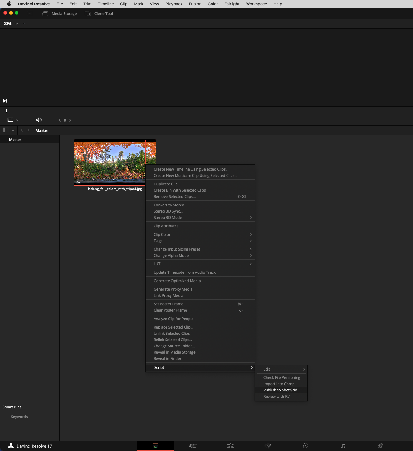 Media_Pool_Scripting.png