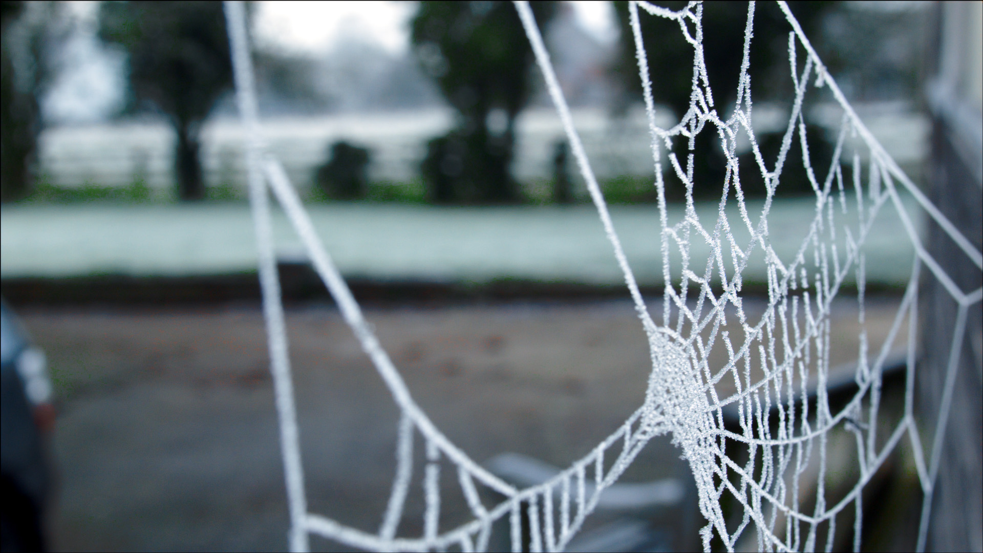 frosty_1.1.2.jpg