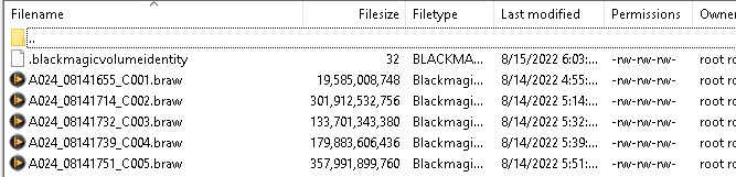 Wierd SSD -- BMUMP12K -- File Sizes -- FTP.jpg