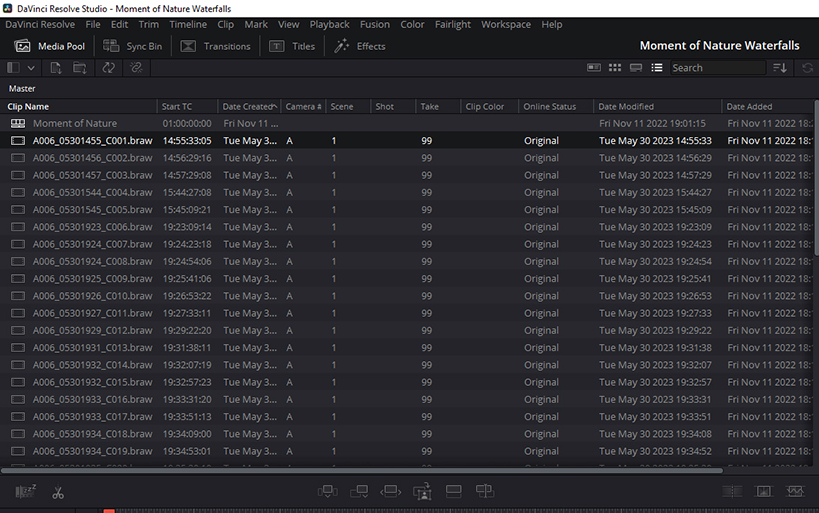 Media_Pool_List_View.jpg