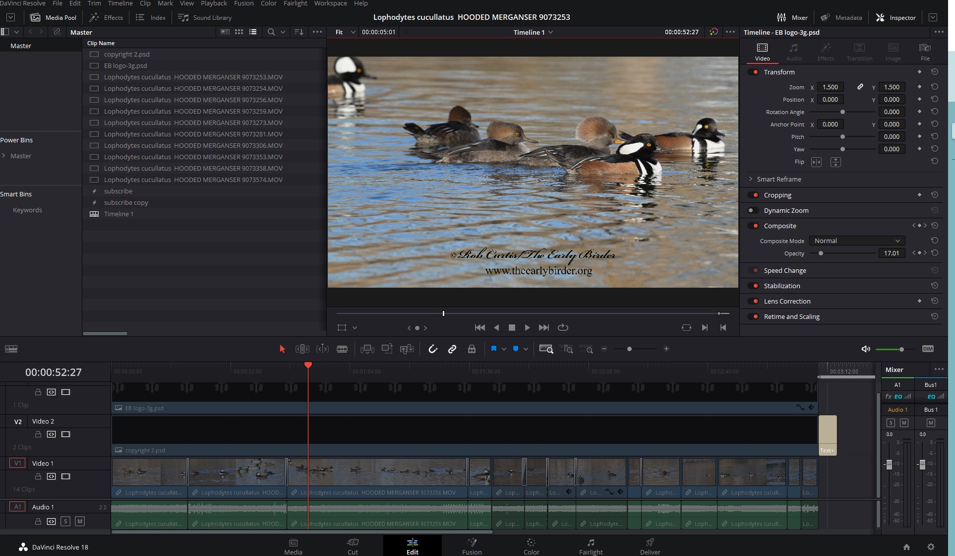 merganser 8K grayed out.jpg