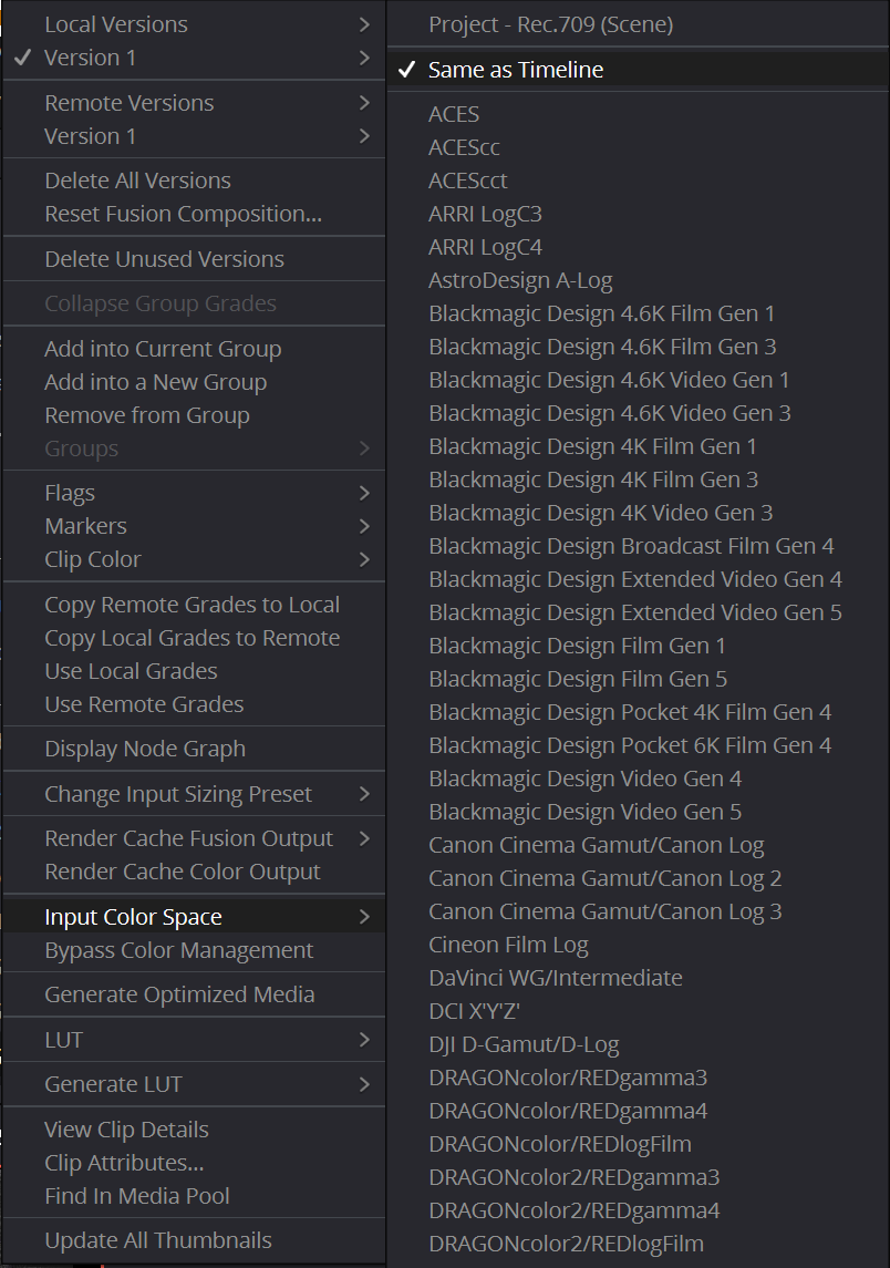 input_color.png