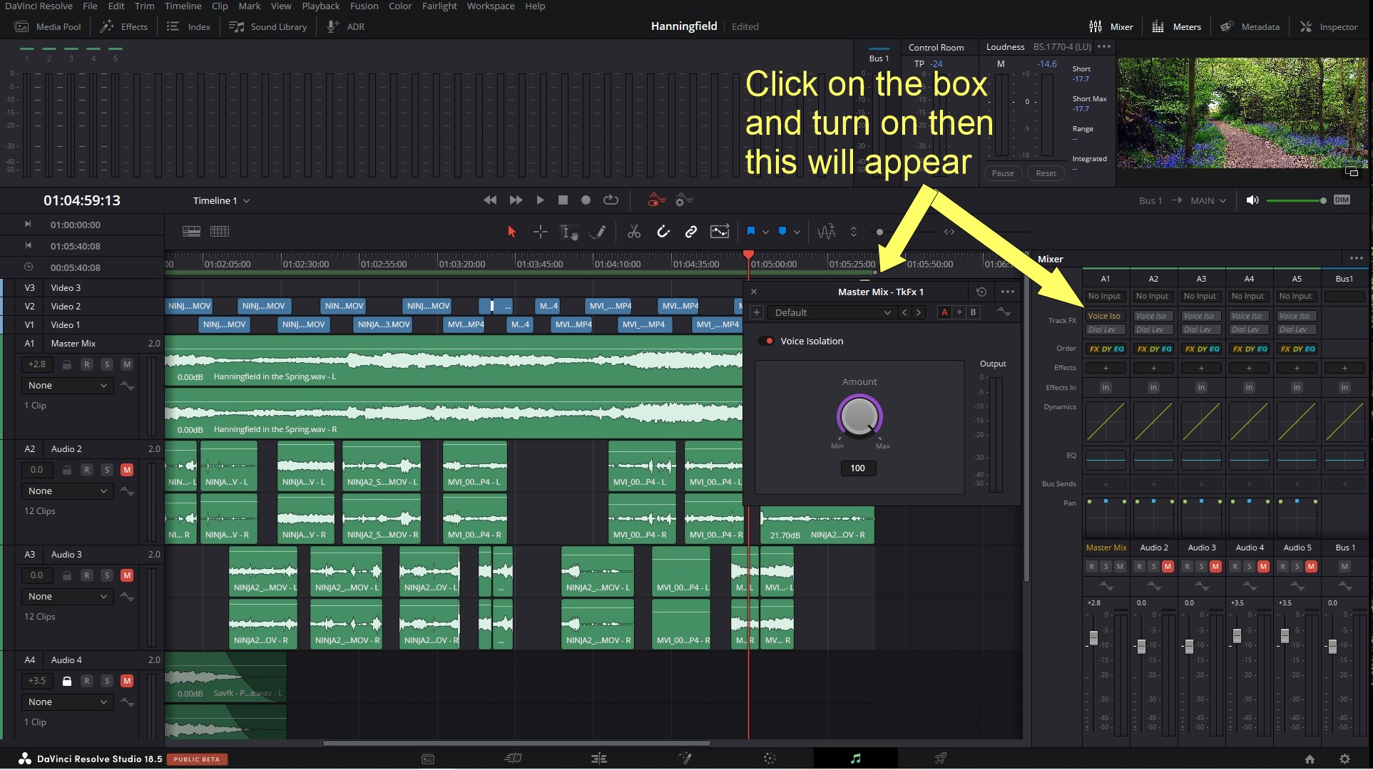 Voice Isolation on Track.jpg