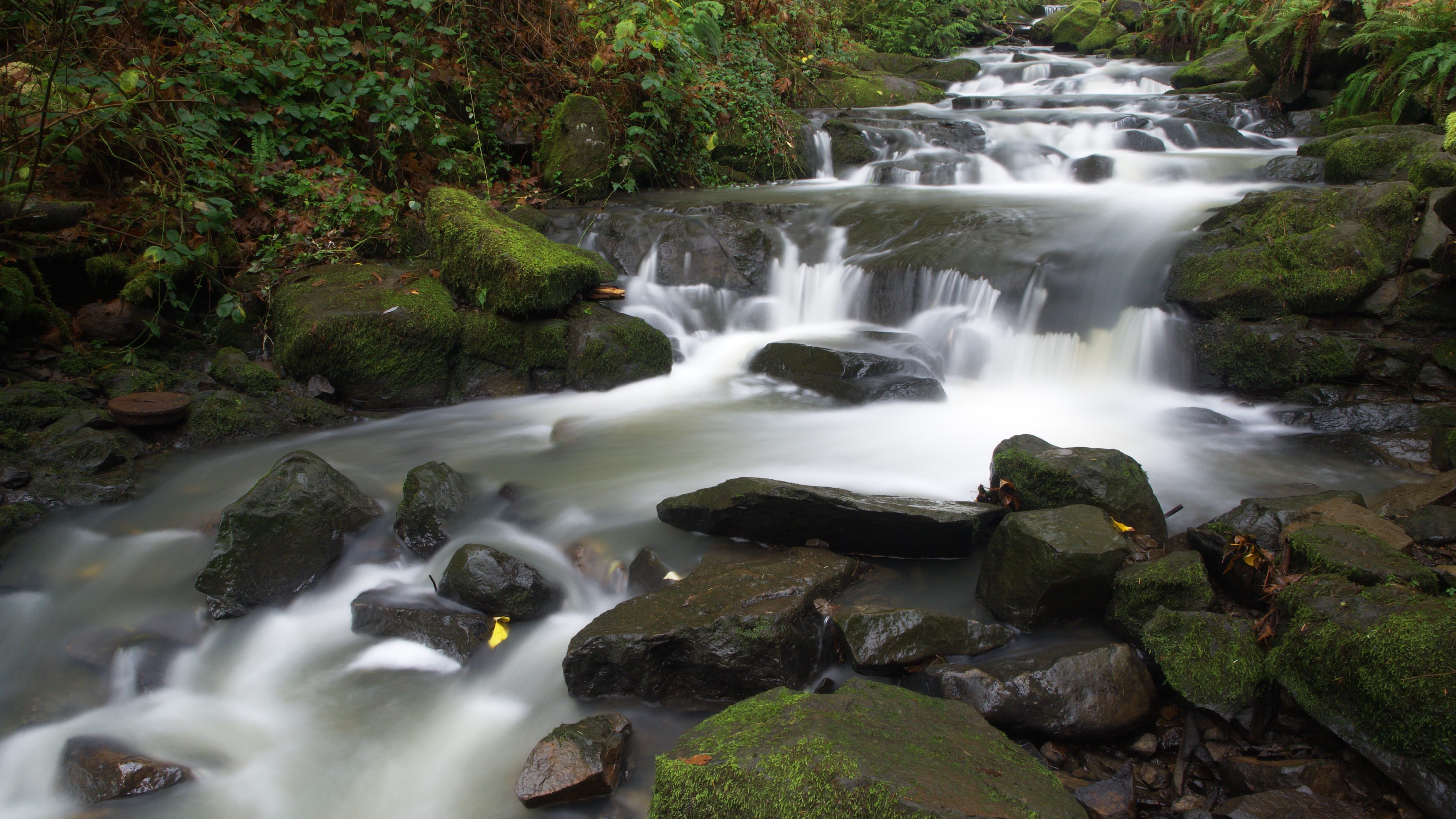 Marshall Park Cascade Waterfall - Portland OR 231207-PC075184 [pair w PC075186 video] cmp.jpg