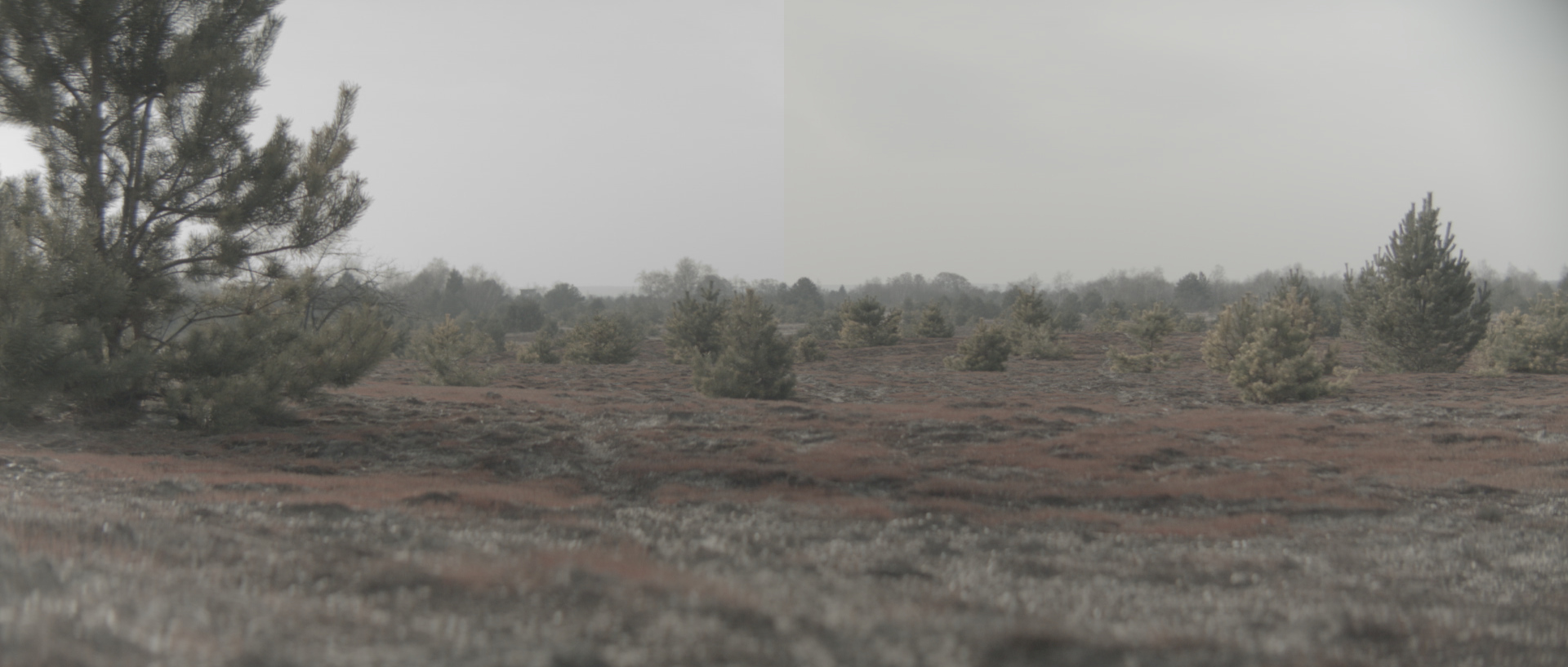 Comparison0204.jpg