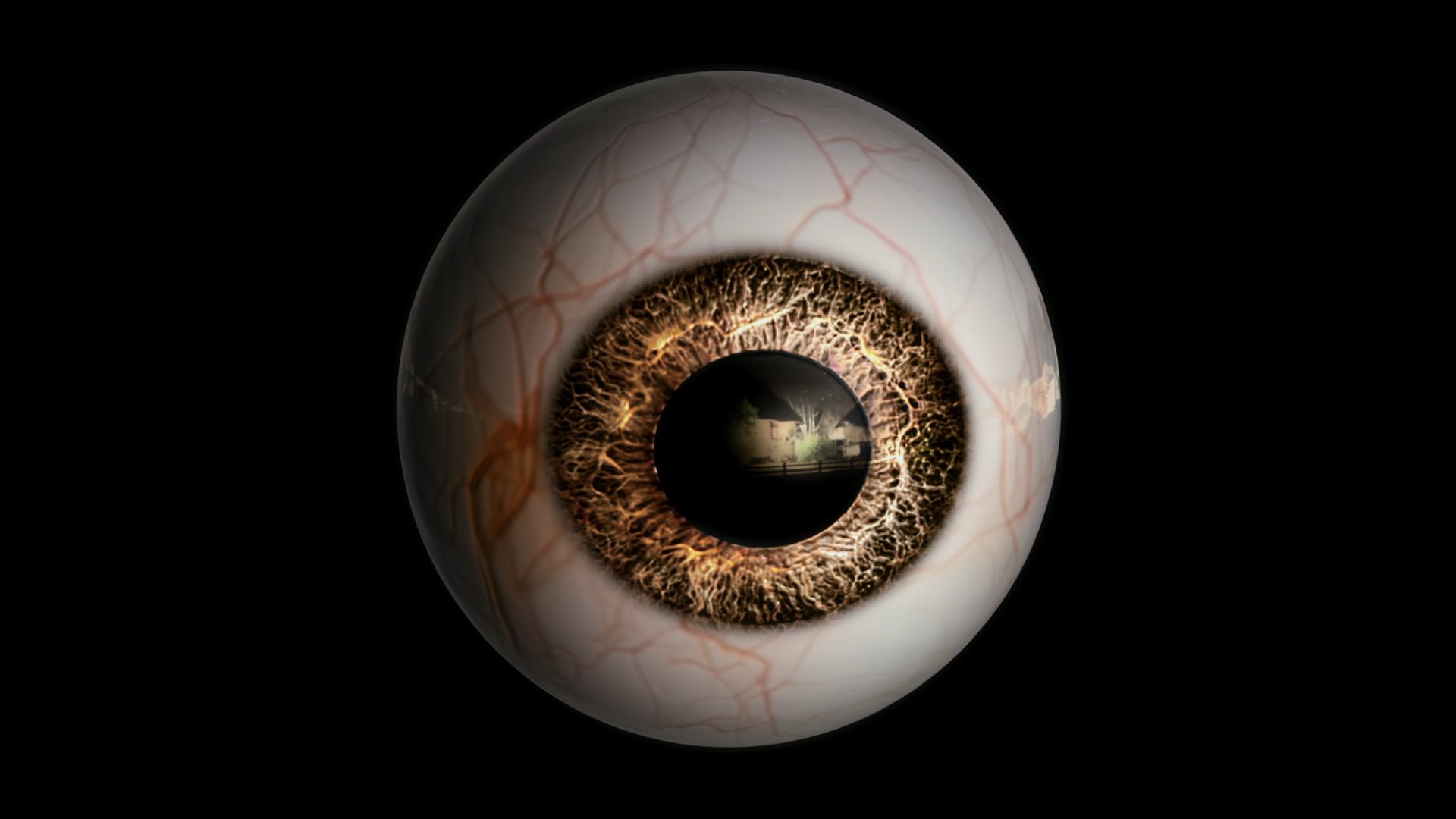 Eyeball test ver 1.mp4_snapshot_00.08_[2024-04-19_00.32.09].jpg