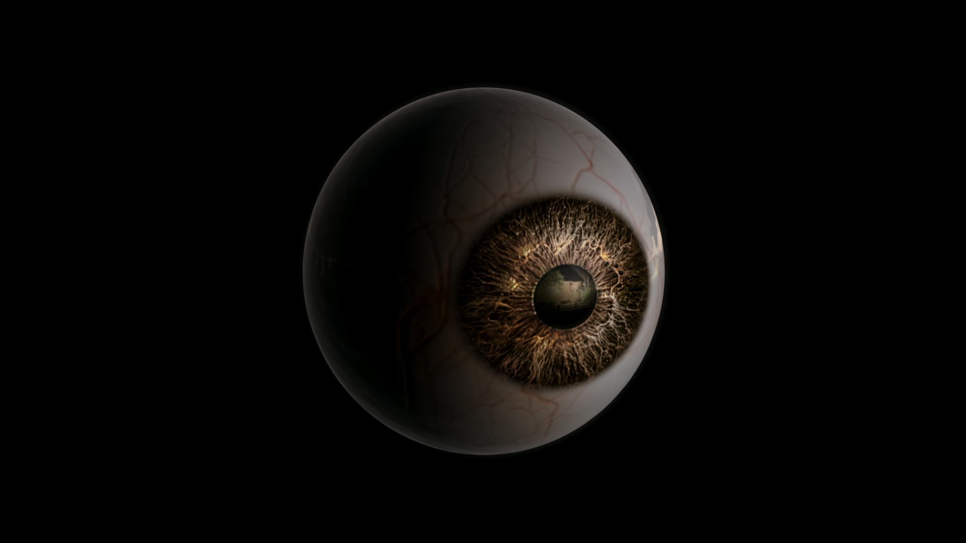 Eyeball test ver 1.mp4_snapshot_00.12_[2024-04-19_00.32.17].jpg