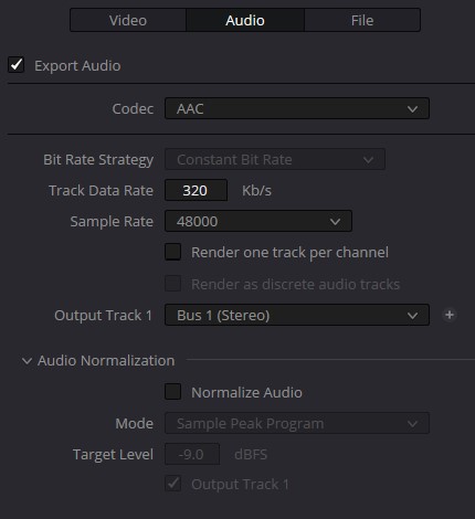 Davinvi Audio setting.jpg