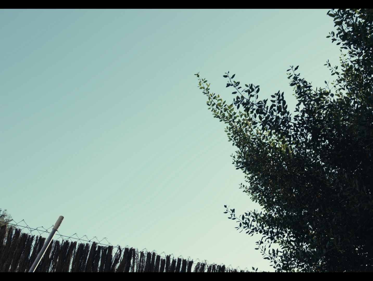URSA_12k_OLPF_Banding_in_Blue_Sky_1.467.1.jpg