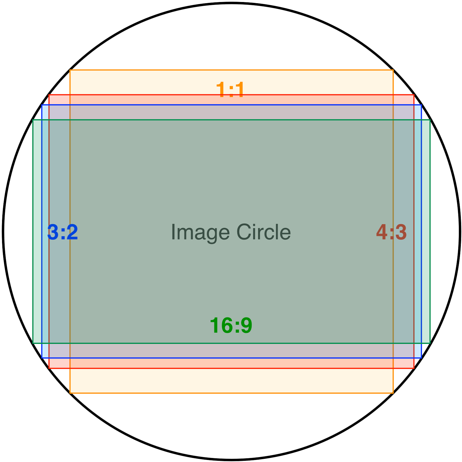 image_circle.png