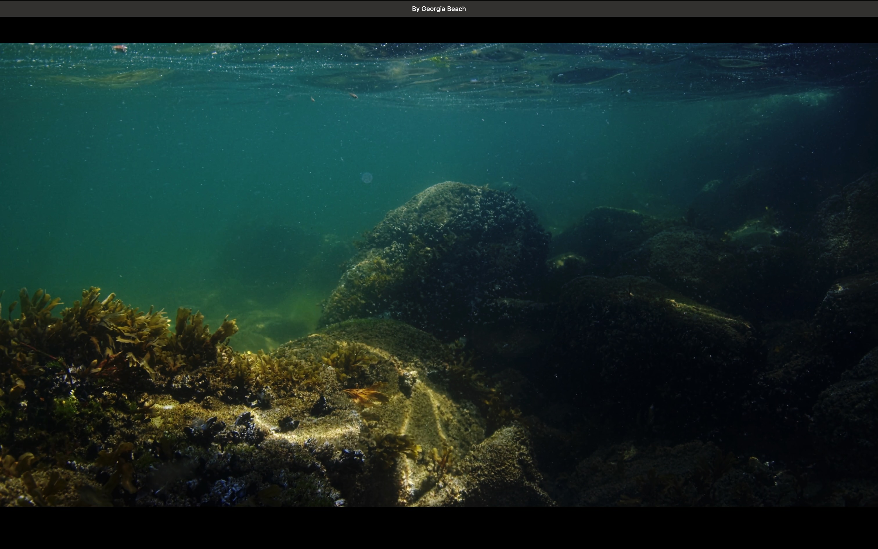 Underwater test with BMPCC 4K © Sarama, 2024.jpeg