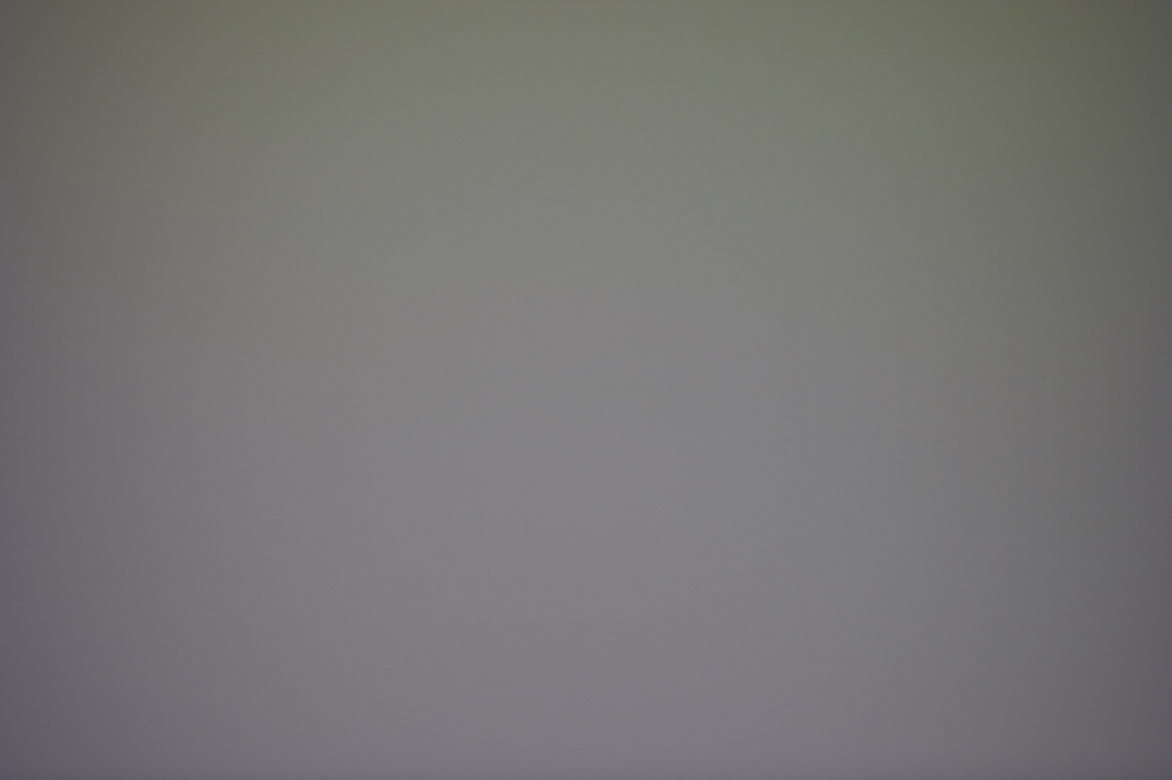 L1005515.jpg
