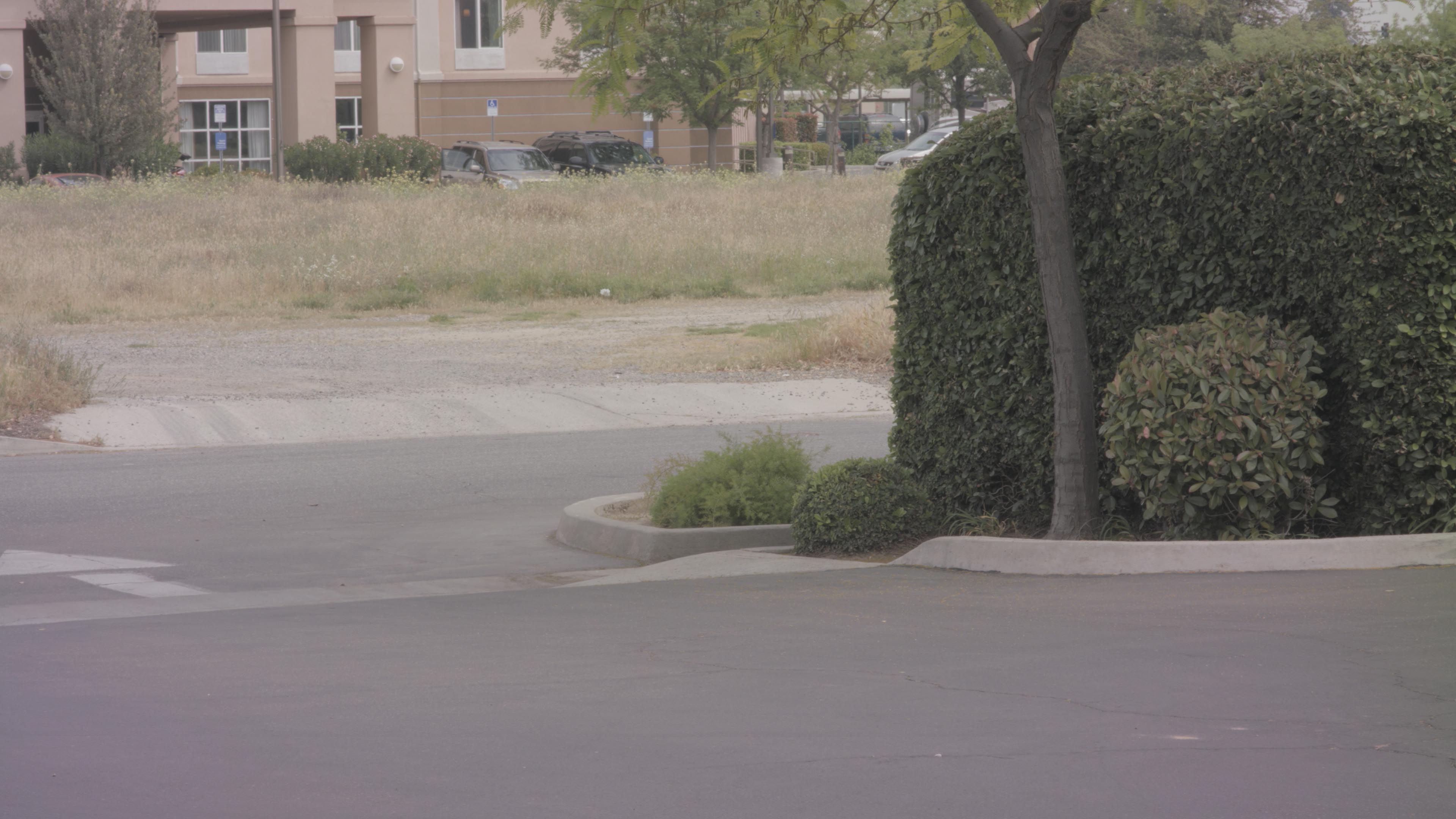 Pic1Untouched.jpg