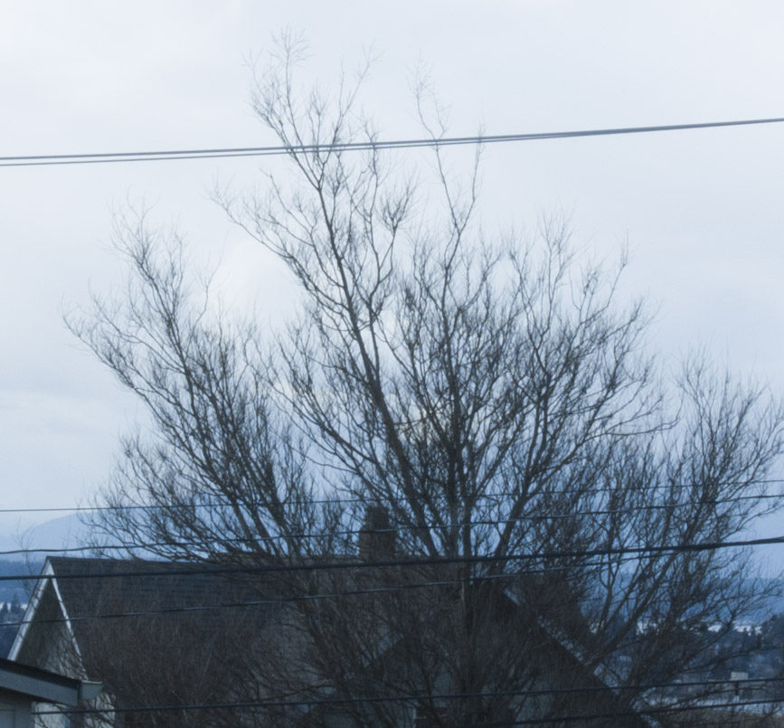 35mm_f22_diffraction.jpg