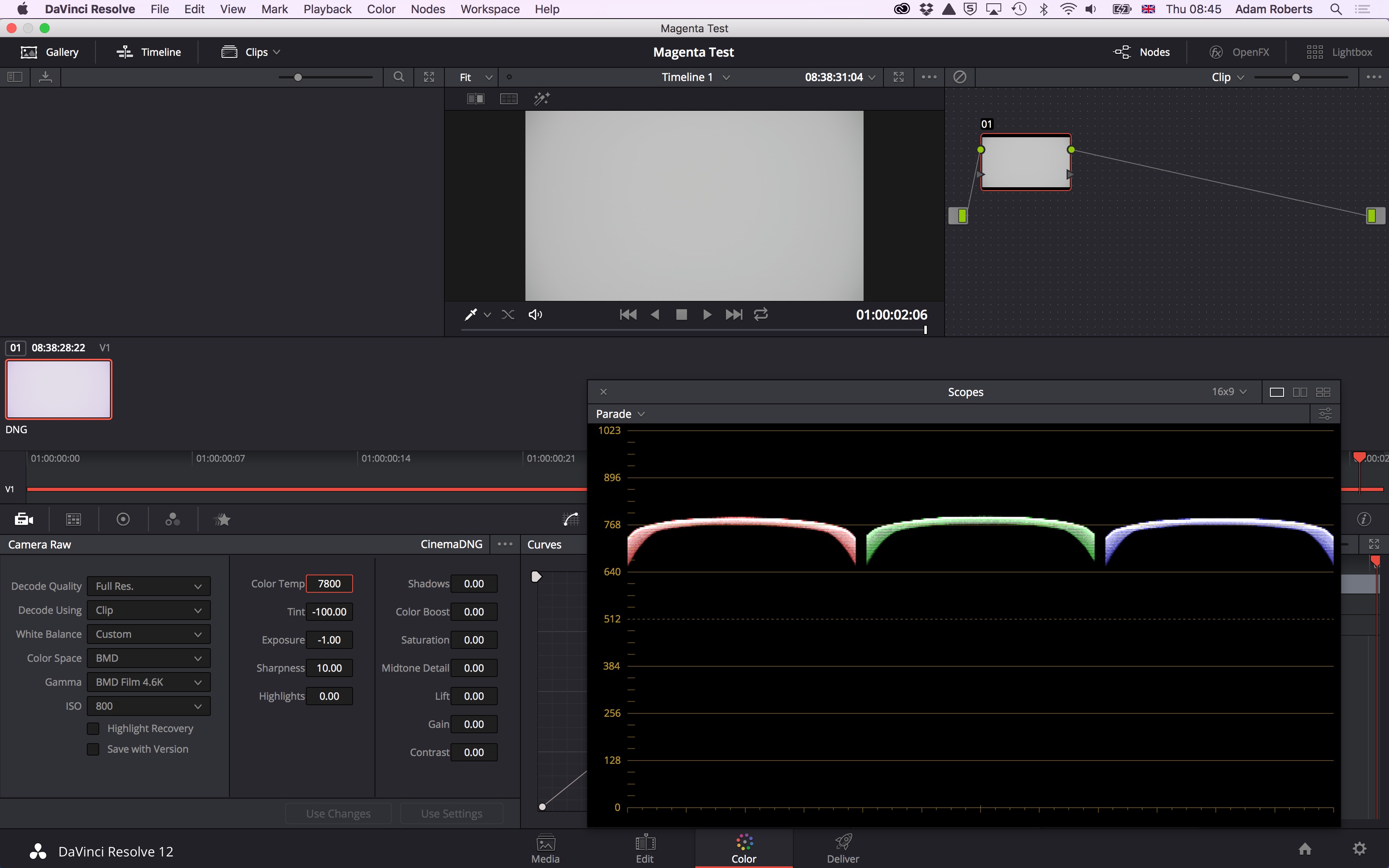 Resolve_RAW_adjustment.jpg