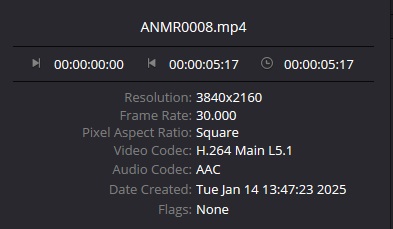 DaVinci Resolve 19 info snapshot.jpg
